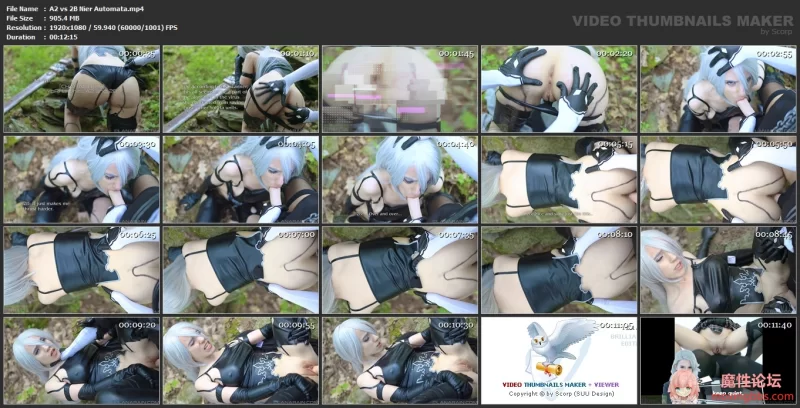 A2 vs 2B Nier Automata.mp4.jpg