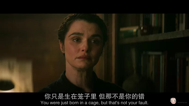 黑寡妇.2021.HD.1080P.中英双字[01-21-01][20210806-181319535].jpg